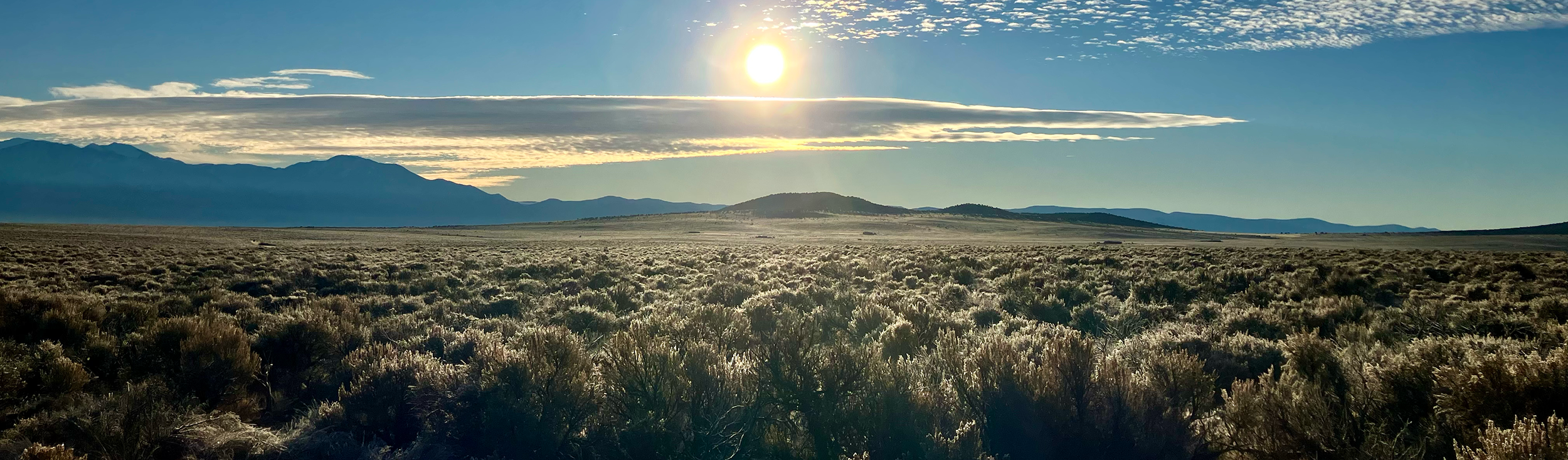 Copy Queen and King - About Us